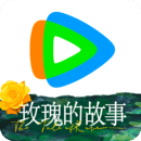一胎三宝富豪妈妈